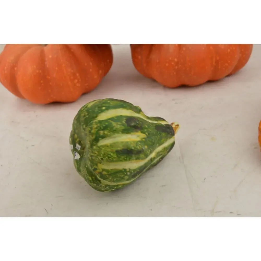 Pier 1 Fall Halloween Decor Lot Pumpkins Gourds Corn Witch Doll Autumn Harvest